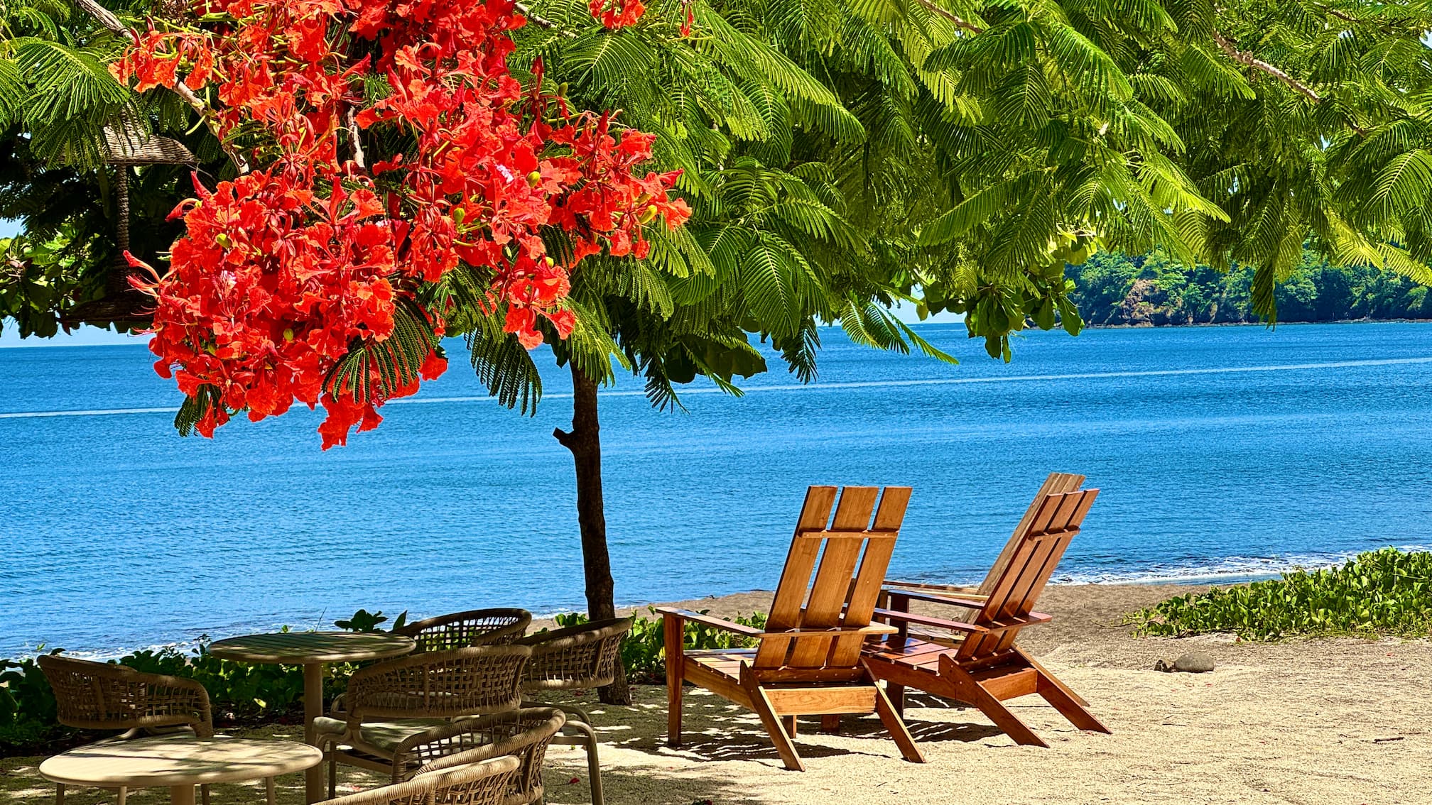 Coco Beach - A beach view close to a cafe - 400m from Coco Sunset Hills