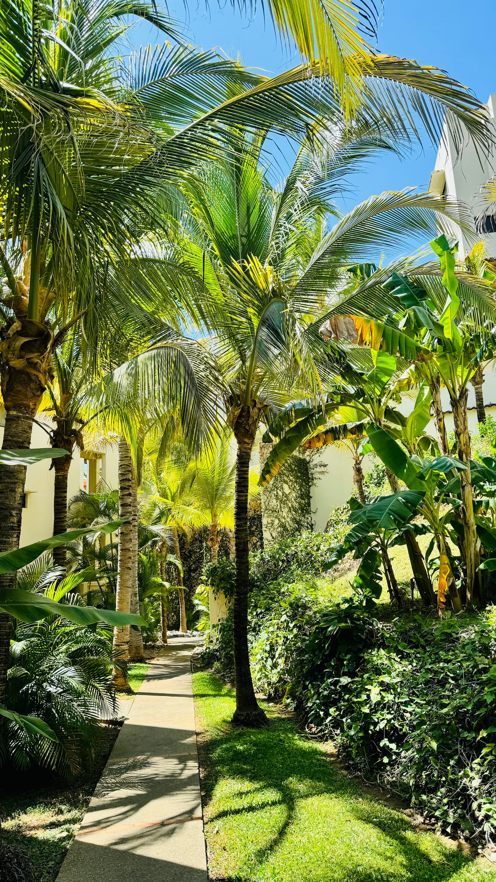 Coco Sunset Hills – Explore beautiful tropical paths in Coco Sunset Hills