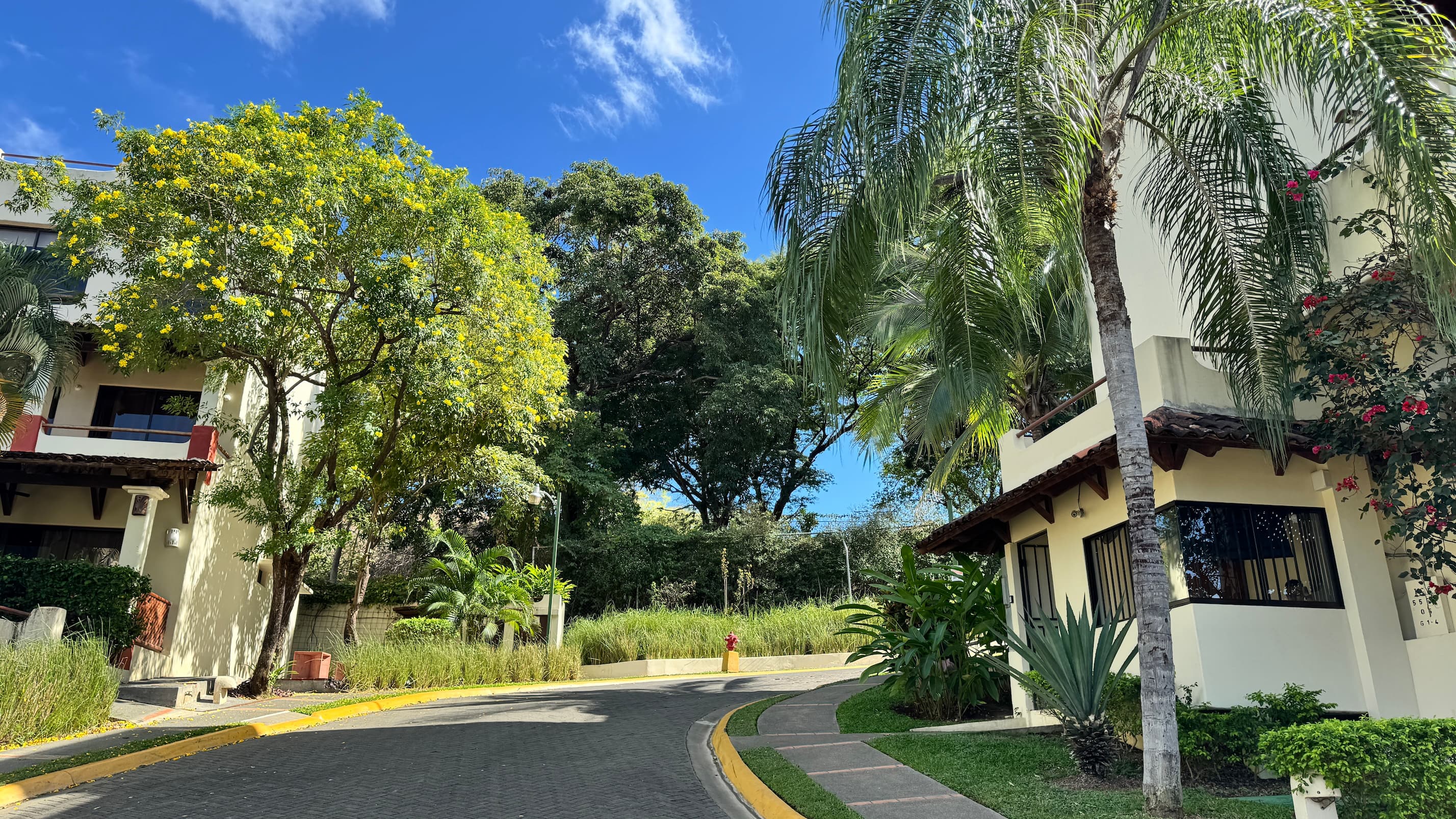 Coco Sunset Hills - a view from the main gate